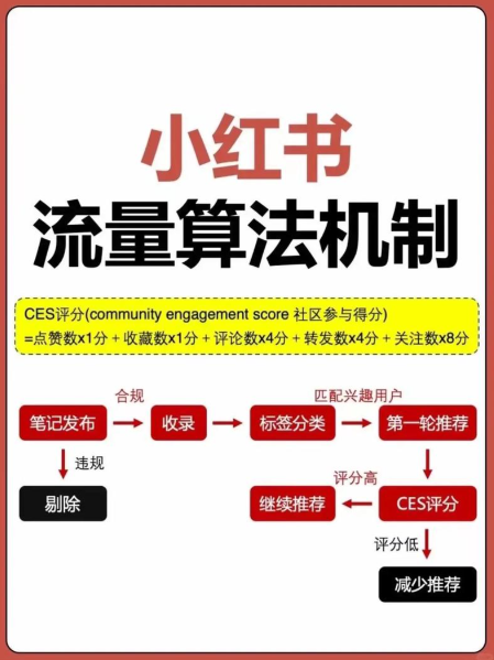 刷量工具彻底失效！小红书算法新权重表+爆款笔记写作模板｜2026年6月真实互动+内容密度才是流量密码
