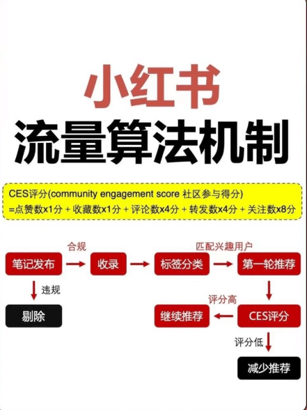 爆文红利缩至1天：小红书流量分配从赌运气变成做积累，垂直运营复利怎么玩｜2026算法变局实战