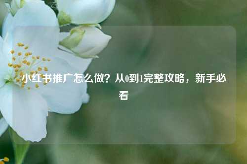 小红书推广怎么做？从0到1完整攻略，新手必看