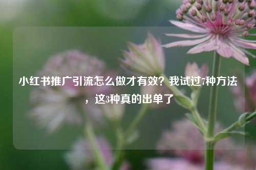 小红书推广引流怎么做才有效？我试过7种方法，这3种真的出单了