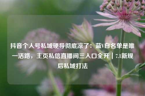 抖音个人号私域硬导彻底凉了：蓝V白名单是唯一活路，主页私信直播间三入口全开｜7.1新规后私域打法